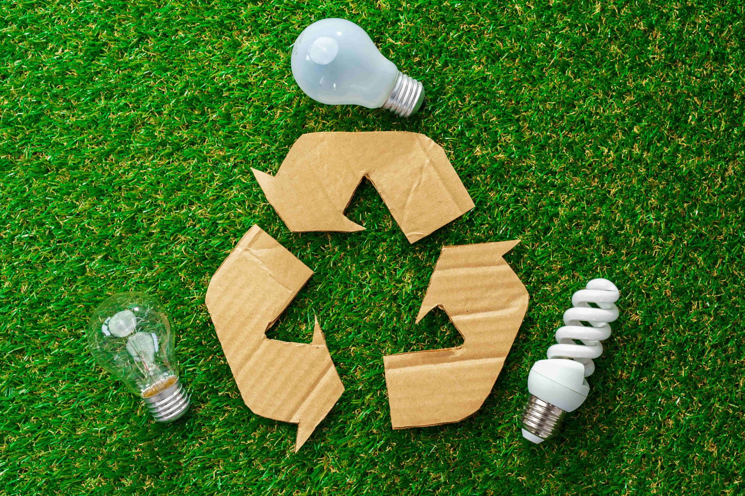 4 recomendaciones para desarrollar una estrategia sustentable en pymes